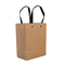 Recyclable Kraft Branded Paper Bags With Plastic Handle Shopping Gift Paper Bag supplier