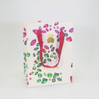 Custom Logo Paper Gift Packaging Bag Printing With Peach Ribbon